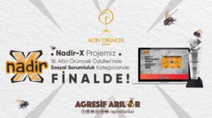 AGRESİF ARILAR ALTIN ÖRÜMCEK’TE Finale Kaldı!