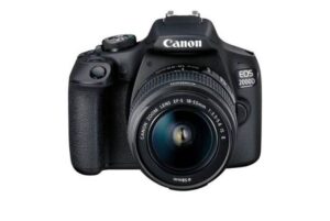 Canon EOS 2000D ile doğada geçen muhteşem anları ölümsüzleştirin!