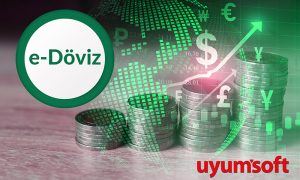 Dikkat ! e-Döviz Alım- Satım belgeleri uygulaması yeni yılda başlıyor