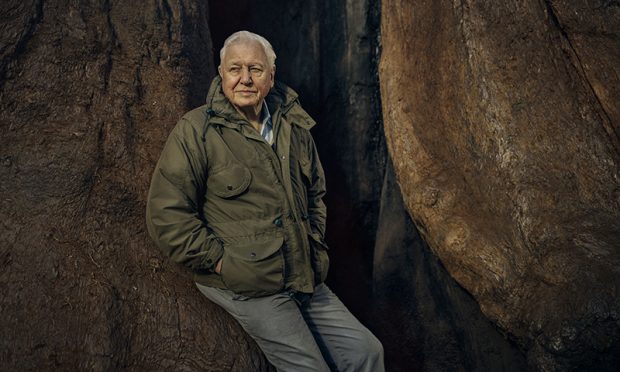 Sir David Attenborough