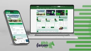 Hitay Holding’ten yeni girişim