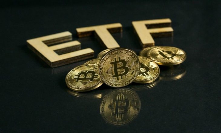 Spot Bitcoin ETF’lerine girişler yedinci gününde de devam ediyor